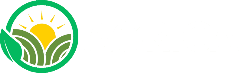 Image Not Found